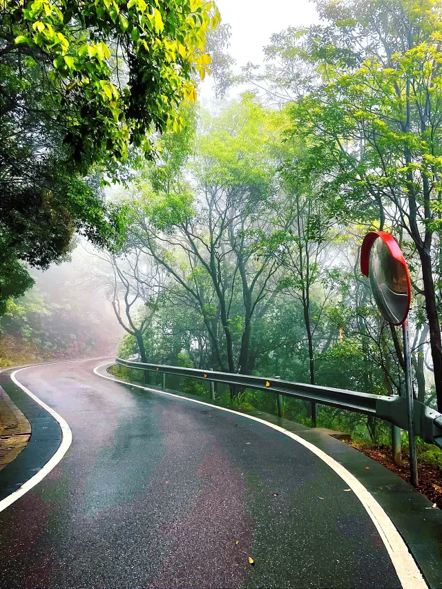 Hiking on a Rainy Day | Going to the mountains to listen to the rain and see the enchanting forest