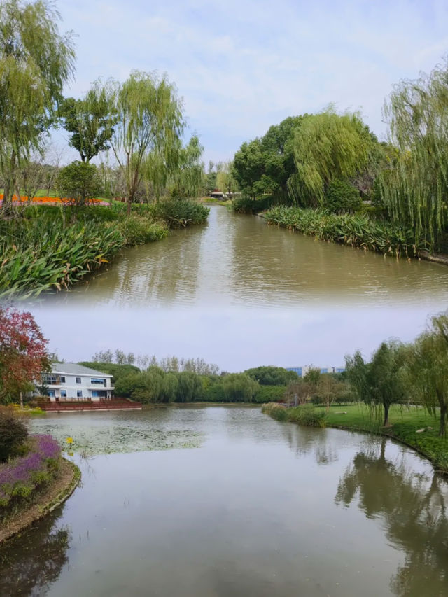 一家充滿生機勃勃的靈性公園