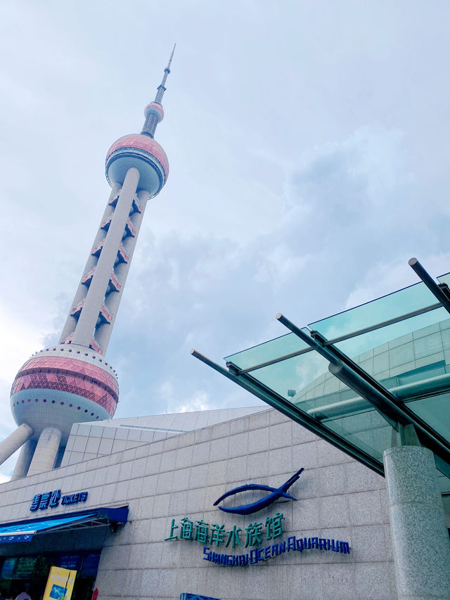 炎炎夏日，上海海洋水族館打卡啦