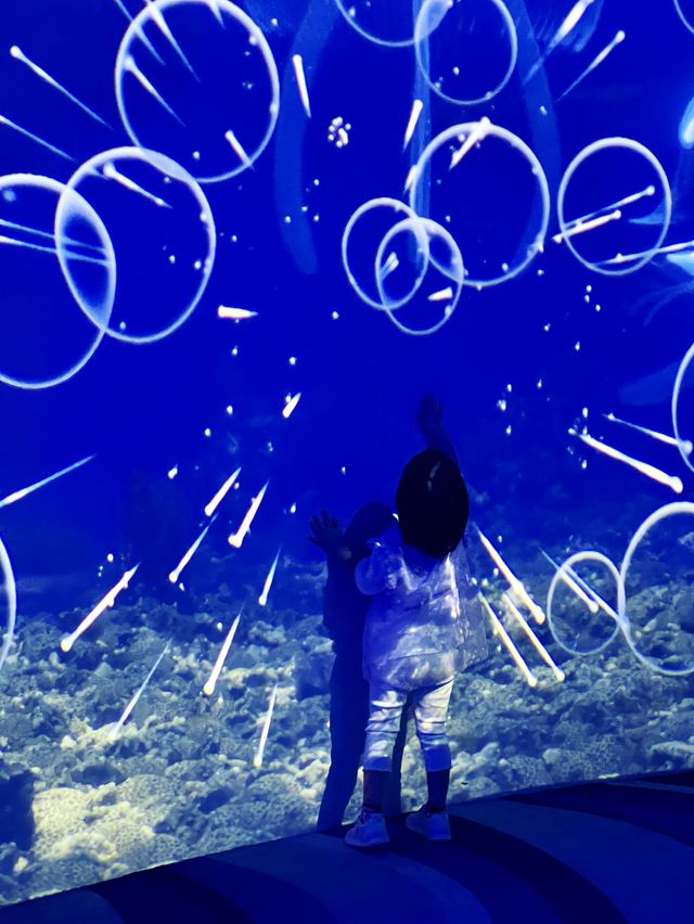 上海雲上海洋館玩轉企鵝 水母 海獅 海龜 超夢幻