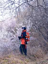 北京徒步踏青賞花無難度路線｜醜兒嶺
