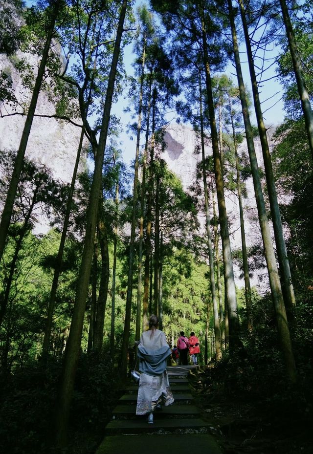 「欲寫龍湫難下筆，不遊雁蕩是虛生」