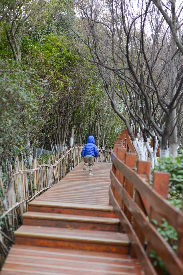春遊徐州金龍湖宕石公園，小驚喜小確幸不斷，真是一處親子遊樂園