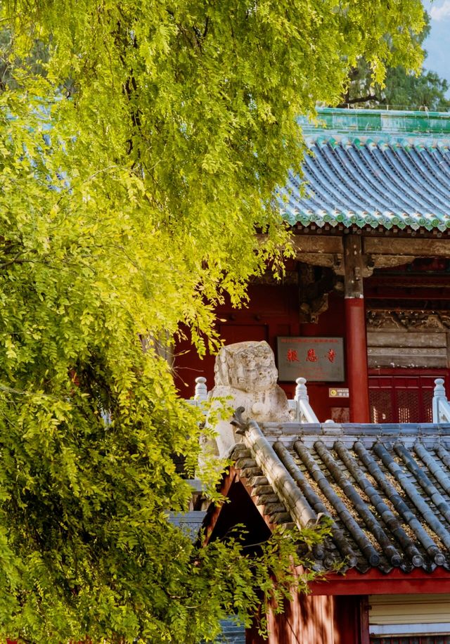 秘境平武｜白馬王朗——報恩寺||平武兩日遊