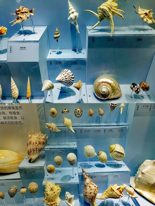 溫州博物館，追尋5000年歷史足跡