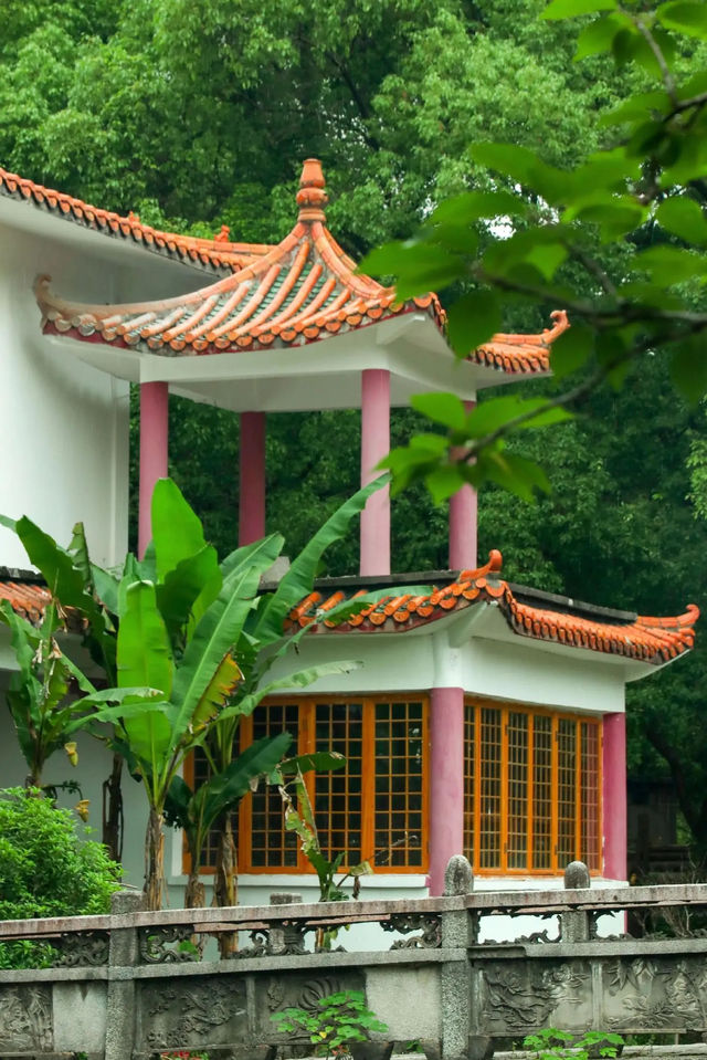 在文泉禅寺，感受時光靜好與內心的平靜