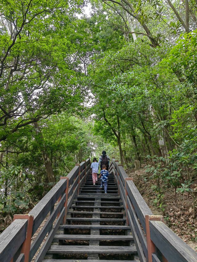 就在東莞南城，親子爬山好去處