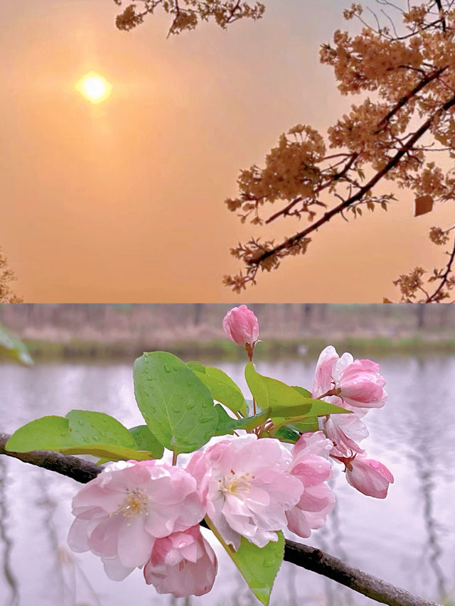 踏青露營就在官公河九龍島度假村