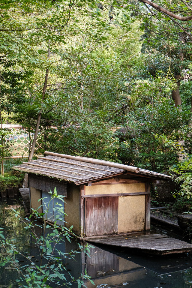 日本小眾旅行｜根津美術館，日式庭院的美術館值得打卡