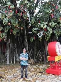 香港奇妙之旅帶你體驗不一樣的暑假生活