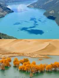 這不是國外，這是我國大好河山新疆喀納斯，無法言語的美！