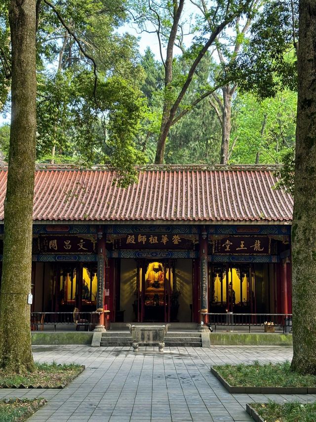 成都周邊1h直達，輕徒步+齋飯+喝茶