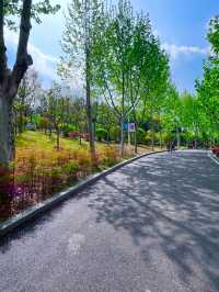 藏在鄭州市區的蘇式園林藏在鄭州市區的蘇式園林南環公園