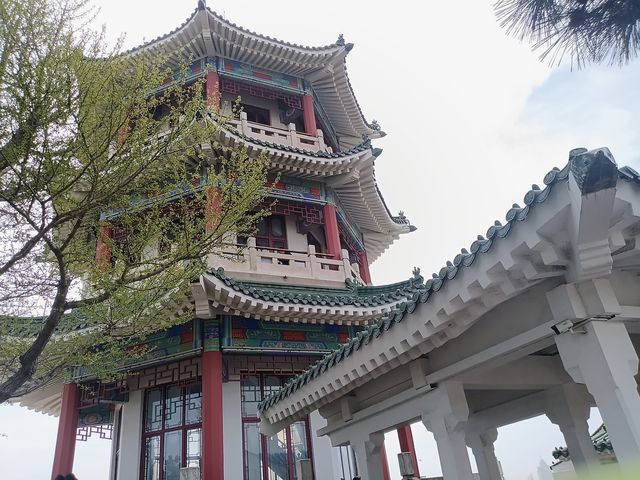 青島之行