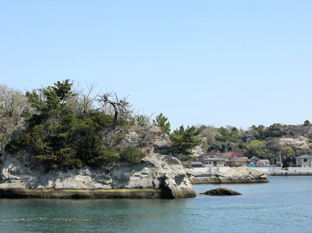 探索松島：260座島嶼的魅力