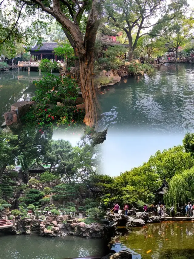 Visit Yu Garden in spring, and this is the best way to have fun