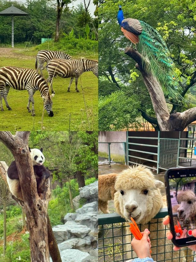 野生動物園