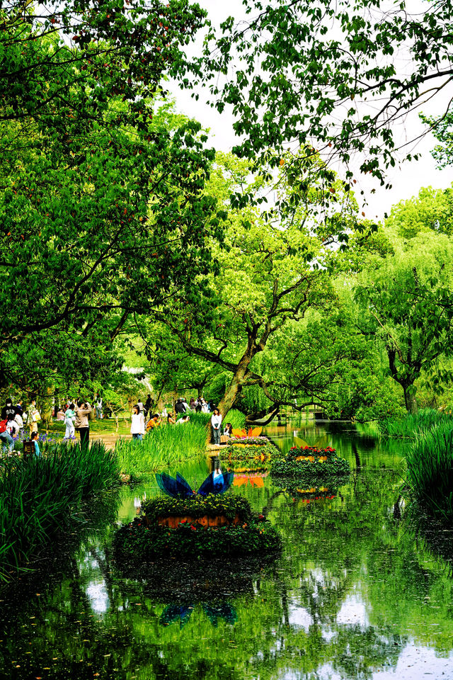 魔都最美的莫奈花園，闖入童話世界