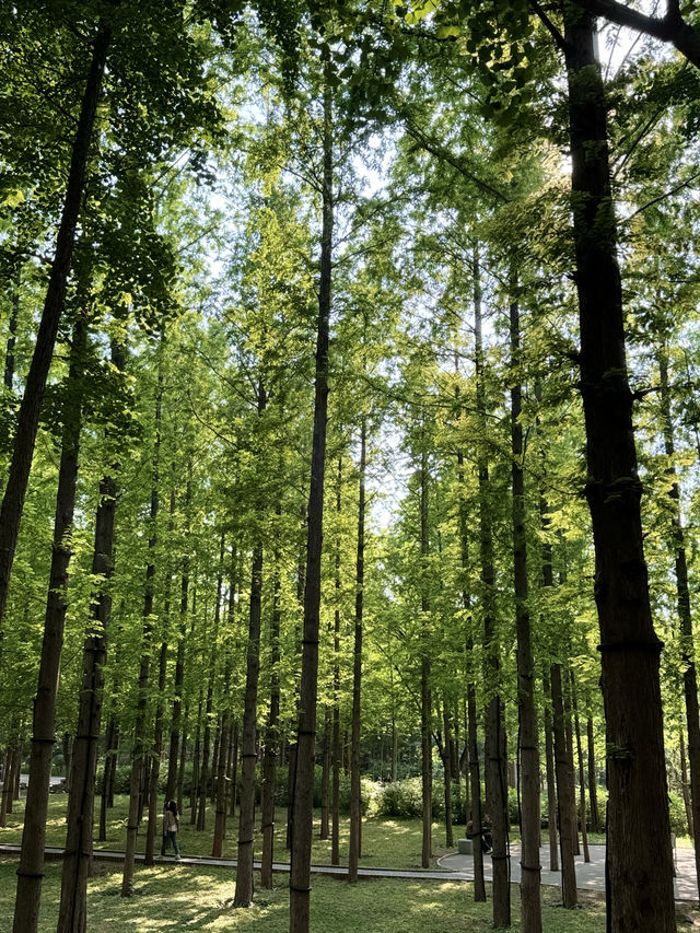 泉城公園識植物