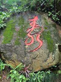於山｜藏於鬧市中～獨守一方靜