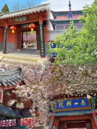 不要再去威海市區啦 看看我的寶藏納涼勝地