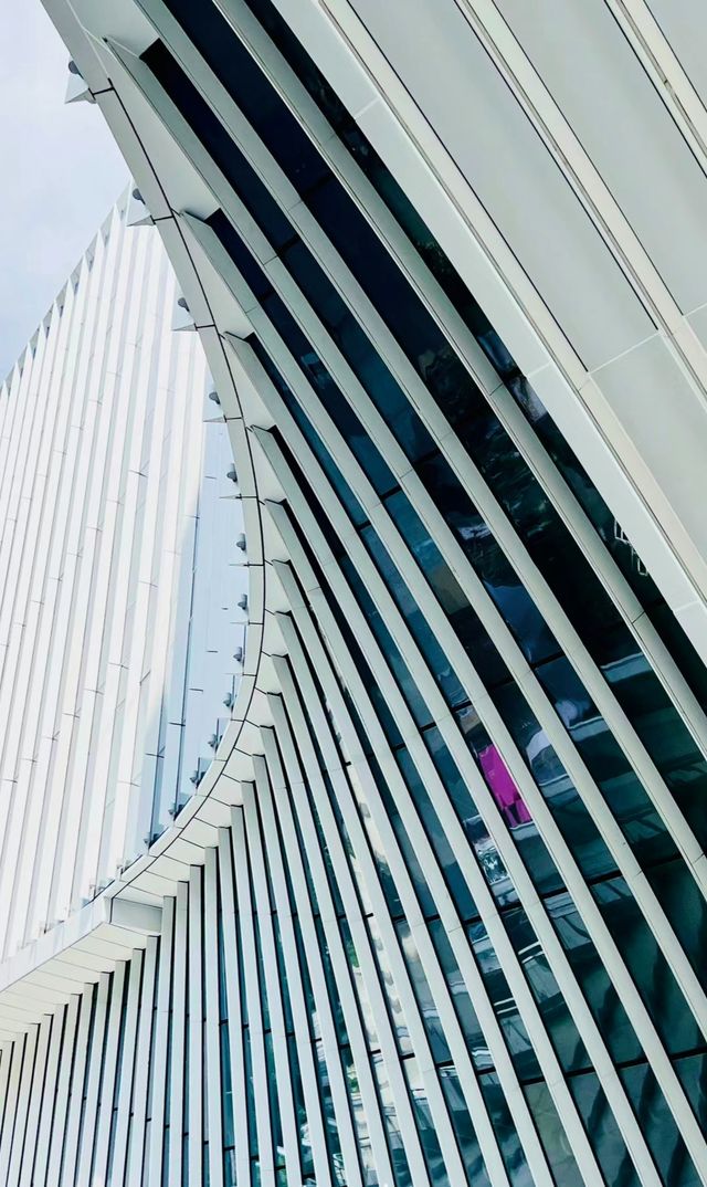 去看看深圳的光明之👁