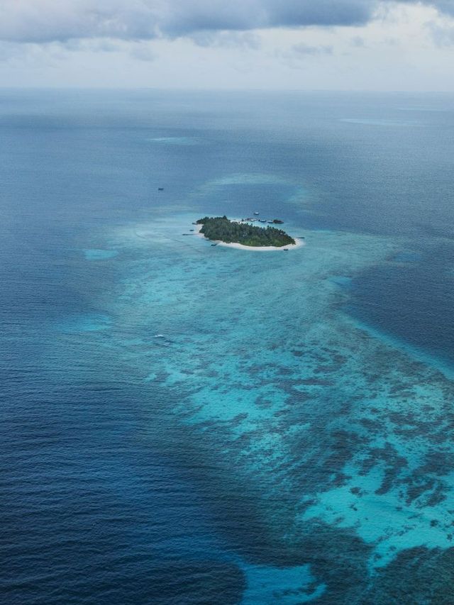 🌟 Maldives Magic: Luxe Stays at Taj Coral Reef! 🌊