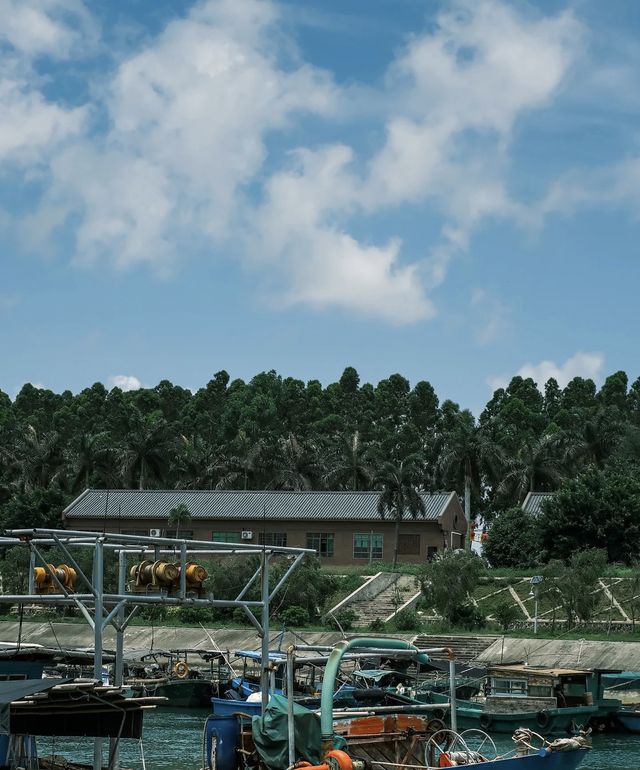 湛江拍照|特呈島，值不值得去，攻略褒貶不