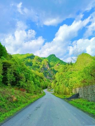 Jilin's Most Beautiful Highway | May, is a painting scroll