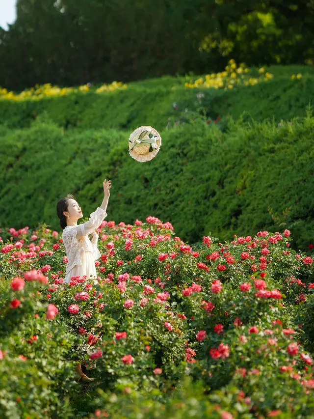 Trust in the national-level aesthetic, this rose garden is a real secret wonderland of Beijing Alice