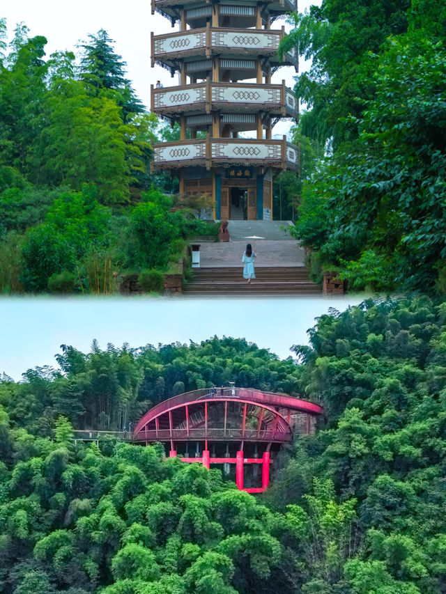 比安吉竹海美多了，真後悔去晚了！