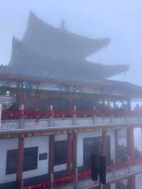 高考完總得有機會來一場說走就走的旅行