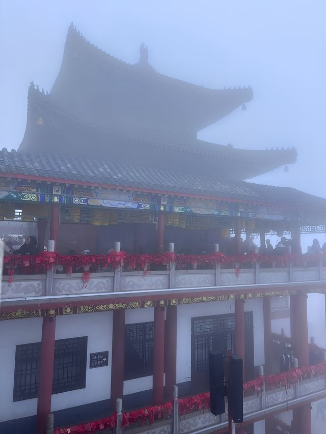 高考完總得有機會來一場說走就走的旅行