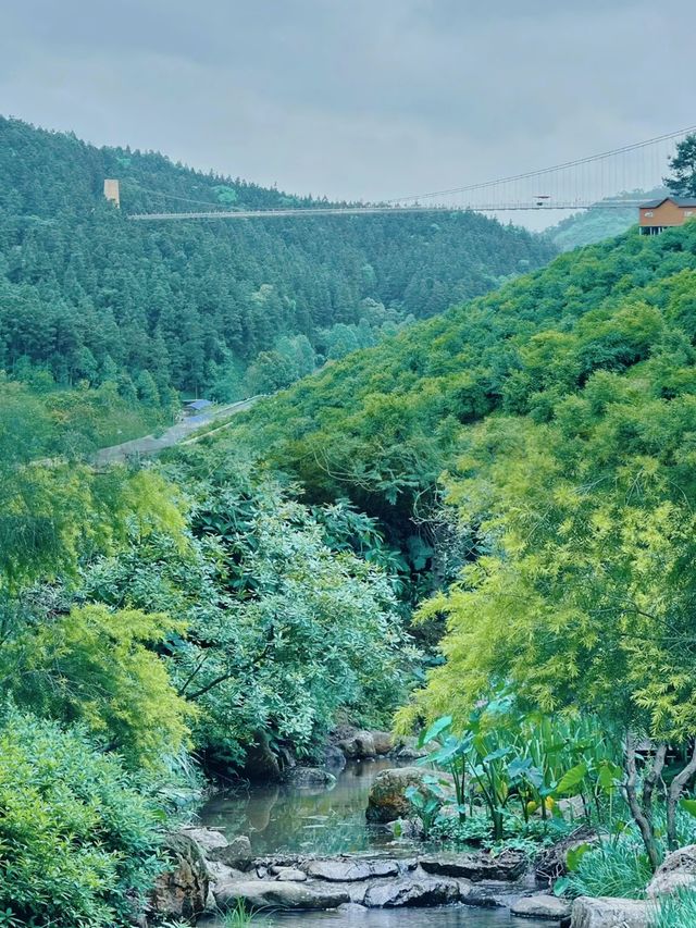 逃離喧囂，擁抱自然：南寧高峰森林公園的完美一日遊