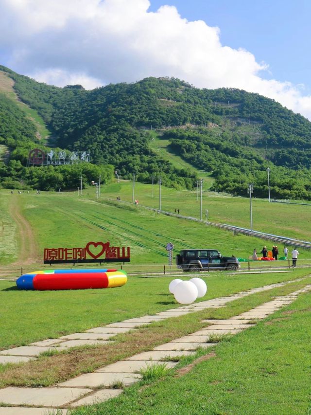 秦嶺深處山野秘境樂園！藏著一整個19°夏天
