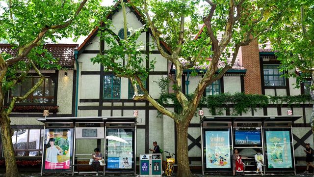 很難對這個季節的新华路說愛你 很難對這個季節的新华路說愛你