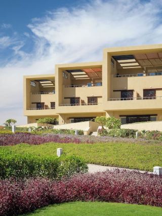 🌟 Aswan's Hidden Gem: Zen Wellness Resort 🌟