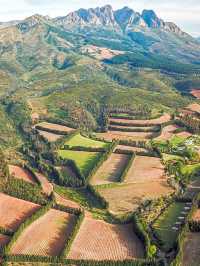 🌟 Cape Winelands Retreat: Grand Dedale 🍇🏨