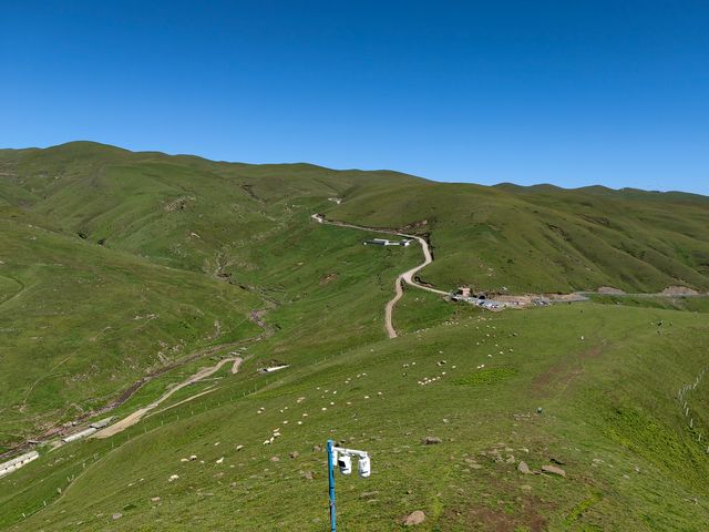 會澤大海草山