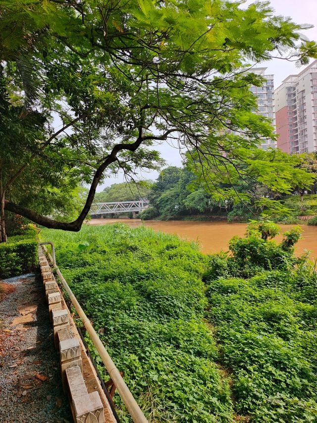 開遠米軌火車站與瀘江公園