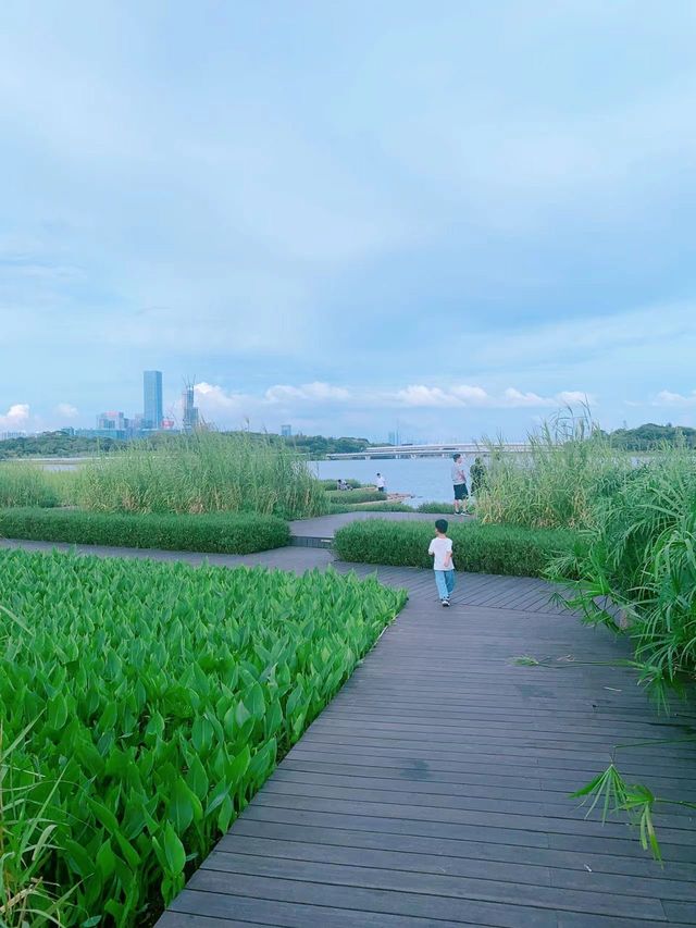 深圳灣公園遊玩攻略