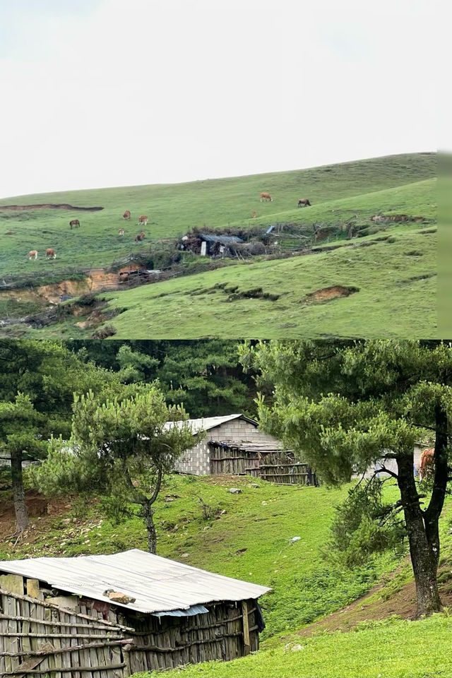 大埋與幣山徒步眾雲室人有目己的阿泰