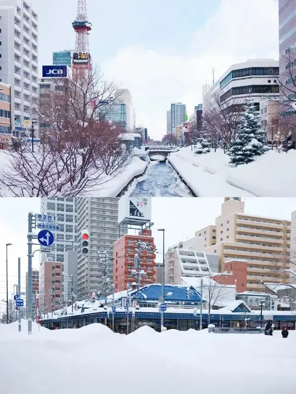 二條市場的海鮮飯🍣