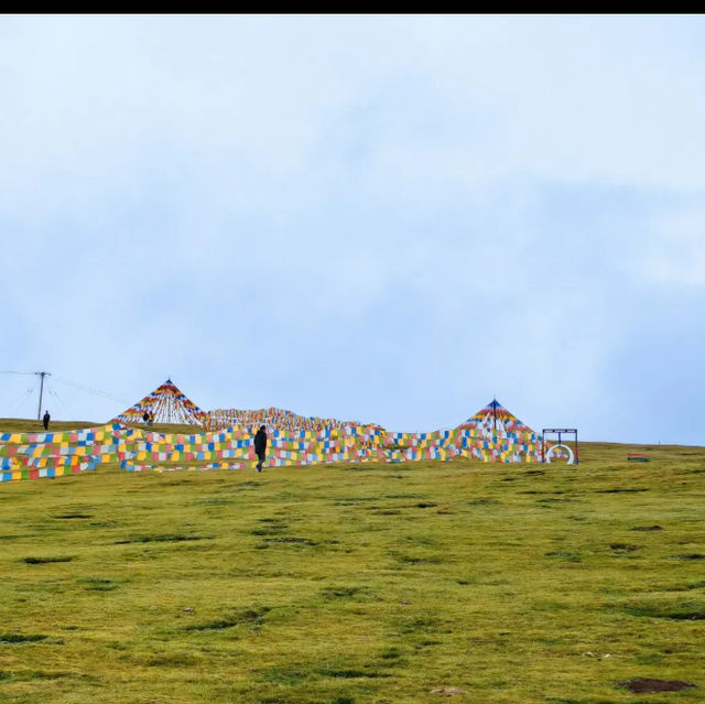 Qilian mountain Grassland