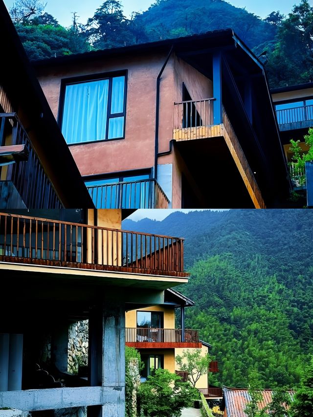 承包松陽古村雲海!700米山谷間的原舍揽樹。