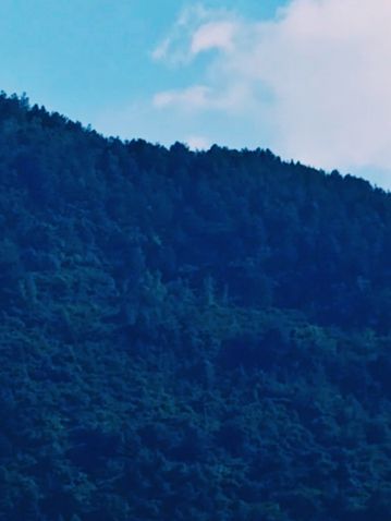 中國橋樑建設的重要里程碑。