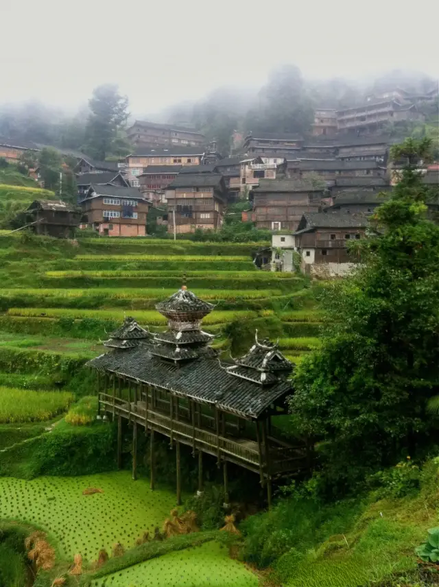 Tang'an Terraced Fields in Liping, Guizhou: A golden poem in the mountains.