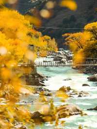 甲根壩永遠的神！我私藏的甲根壩機位。。
