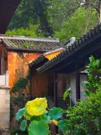 國清寺實用攻略。