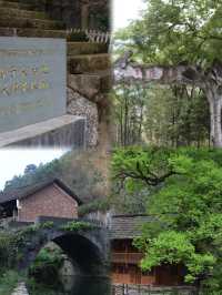 邂逅自然之美｜一步一景 陶醉在山水之間。